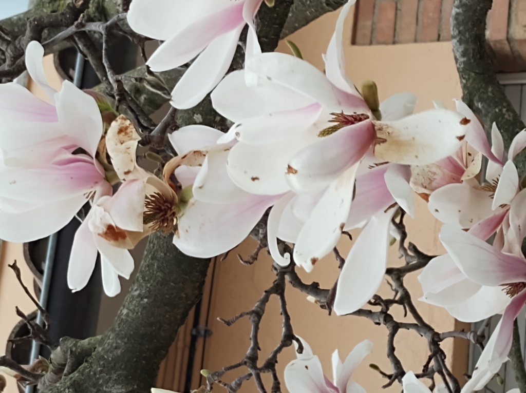 No s'ha trobat l'arxiu